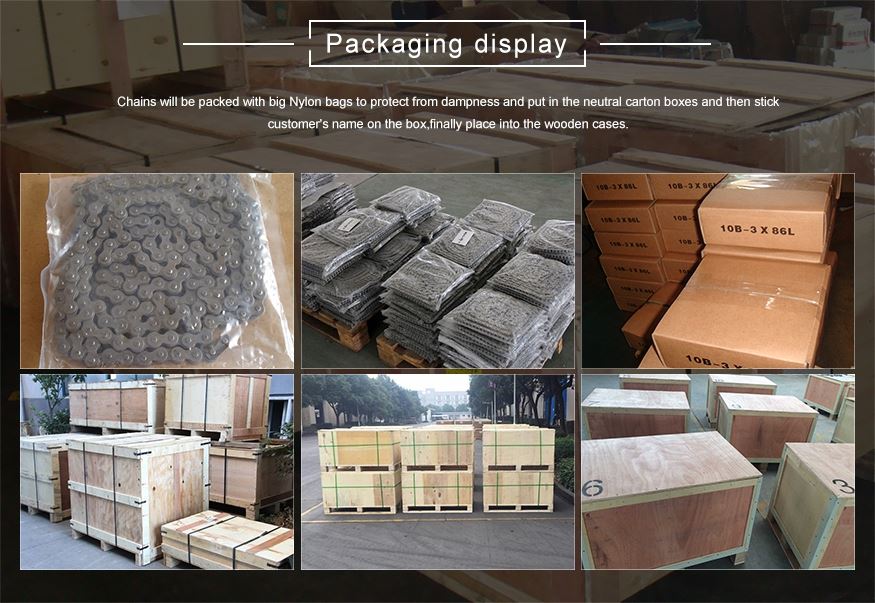 Roller chain 12B-2 Straight side plates package